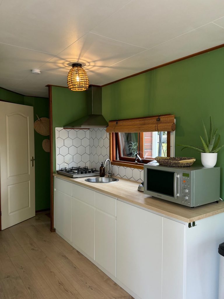 Volledig uitgeruste keuken met groene wand