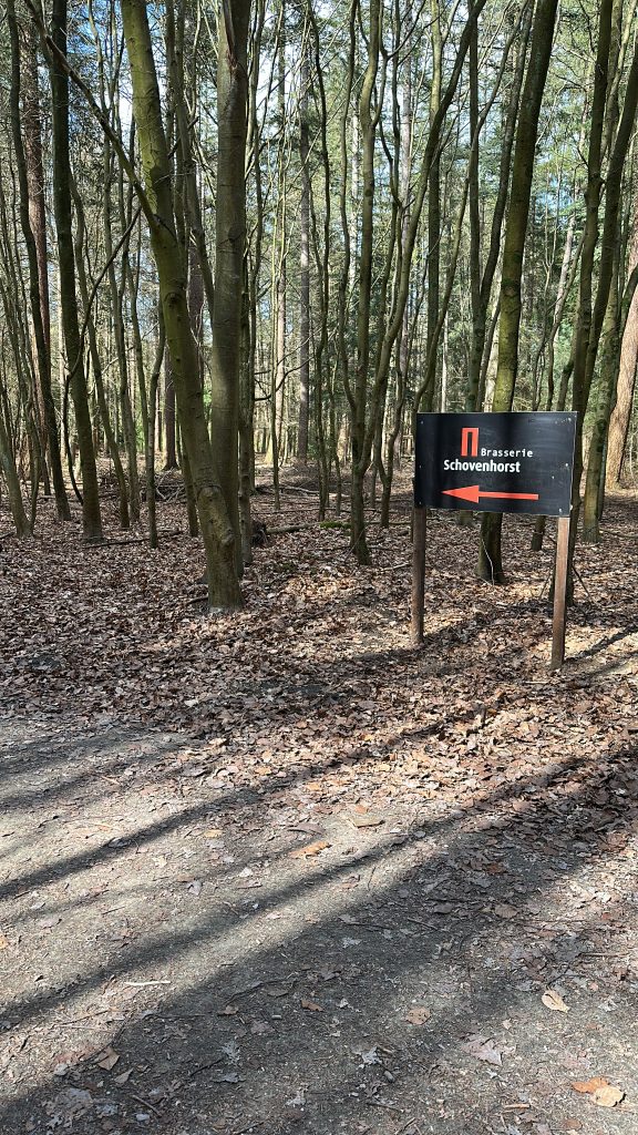 Bospad richting Schovenhorst